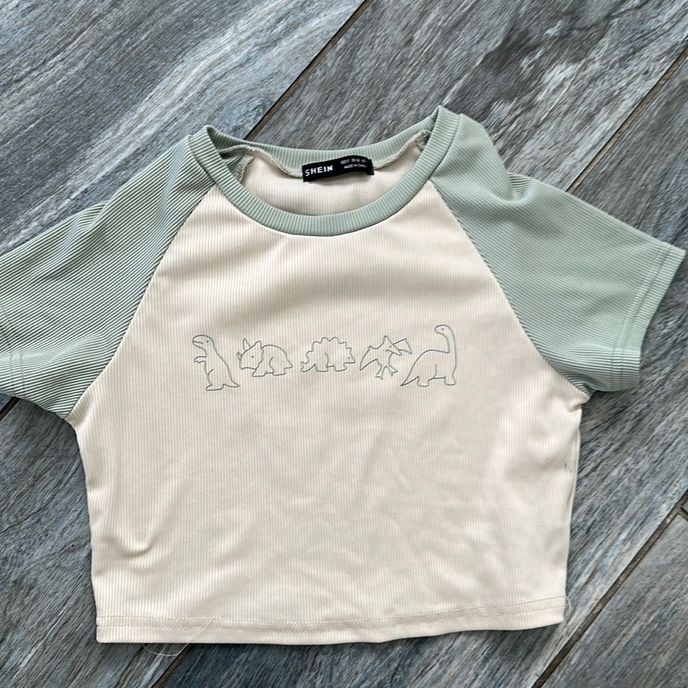 Dinosaur 🦕 Crop Top Size Small